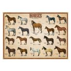 EuroGraphics 6000-0078 - Horses - 1000 db-os Lovak puzzle