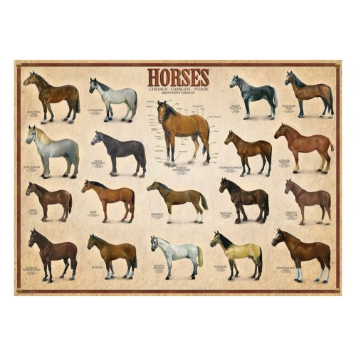 
EuroGraphics 6000-0078 - Horses - 1000 db-os Lovak puzzle