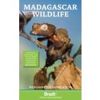 Madagaszkár Madagascar Wildlife útikönyv Bradt - angol