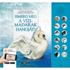   Ismerd meg a vízimadarak hangját! HVG könyvek
A vízi élőhelyek madárvilága életre kel