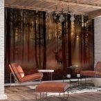   Öntapadó fotótapéta - Mystical Forest - First Variant 294x210