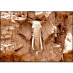 Fotótapéta - Stone Elephant (South Africa) 300x210