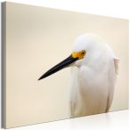 Kép - Snowy Egret (1 Part) Wide 90x60