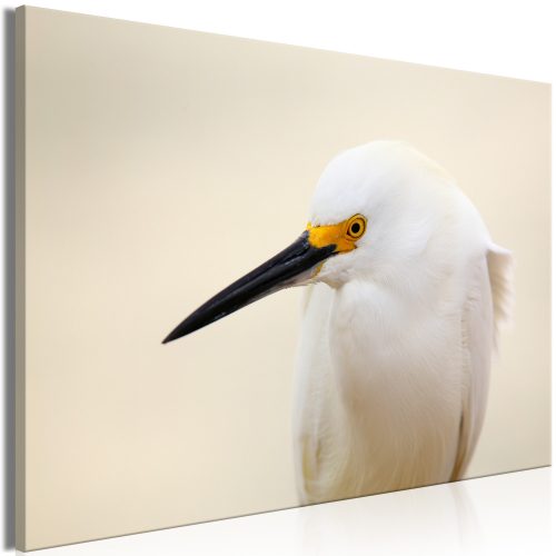 Kép - Snowy Egret (1 Part) Wide 120x80