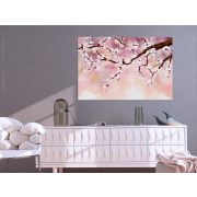 Vászonkép - Cherry Blossoms (1 Part) Wide 120x80