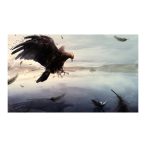 Fotótapéta - Ragadozó