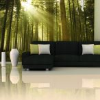 Fotótapéta - Fenyőerdő