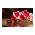 Fotótapéta - Gyönyörű orchidea virágok a víz