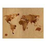 Fotótapéta - Tea világtérkép