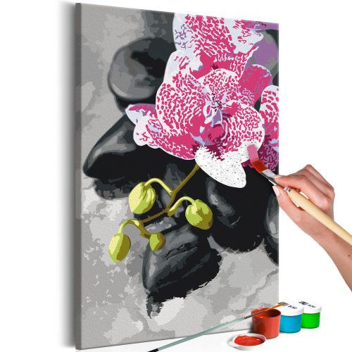 Kifestő - Pink Orchid  40x60