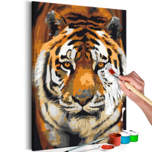 Kifestő - Asian Tiger 40x60