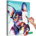 Kifestő - Bulldog Portrait 40x60