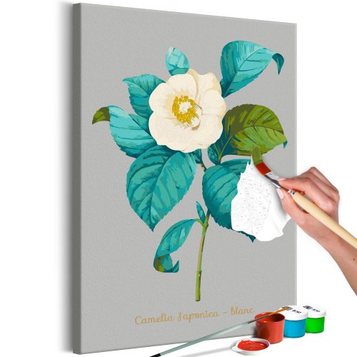 Kifestő - Beautiful Camellia 40x60