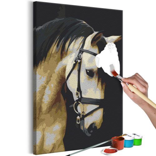 Kifestő - Horse Portrait  40x60