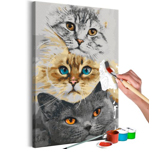 Kifestő - Cat's Trio 40x60