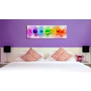 Kép - Rainbow-hued poppies 120x40