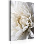 Kép - White Dahlia 40x60