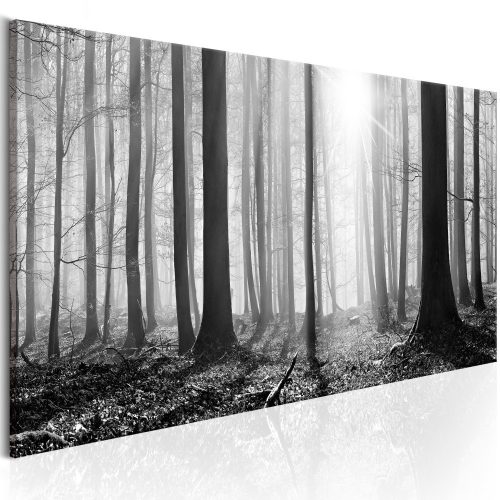 Kép - Black and White Forest 150x50