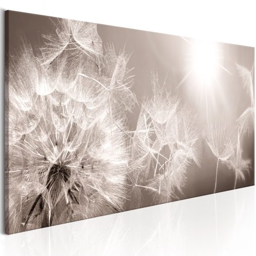 Kép - Summer Dandelions 150x50