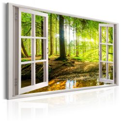 Kép - Window: View on Forest
