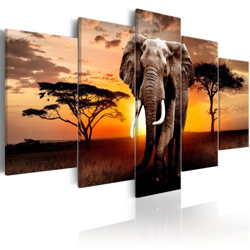 Kép - Elephant Migration 100x50