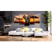 Kép - Elephant Migration 100x50