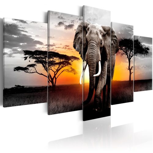 Kép - Elephant at Sunset 100x50