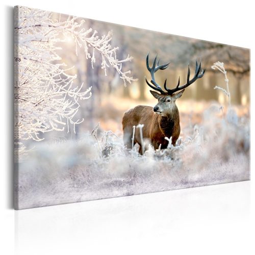Kép - Deer in the Cold 90x60