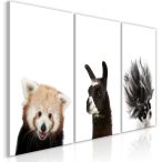 Kép - Friendly Animals (Collection) 60x30