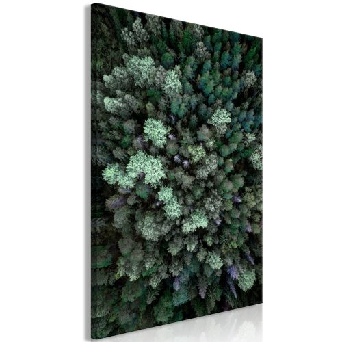 Kép - Flying Over Forest (1 Part) Vertical 40x60