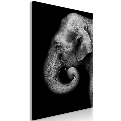 Kép - Portrait of Elephant (1 Part) Vertical 40x60