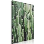 Vászonkép - Cactus Garden (1 Part) Vertical 80x120