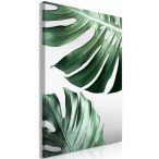 Vászonkép - Monstera Leaves (1 Part) Vertical 60x90