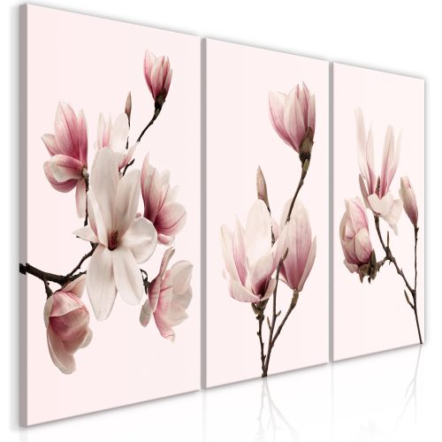 Kép - Spring Magnolias (3 Parts) 60x30