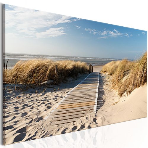 Kép - Őrizetlen strand - 5 db 100x50