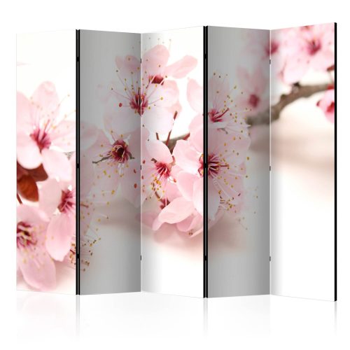 Paraván -  Cherry Blossom II [Room Dividers]
