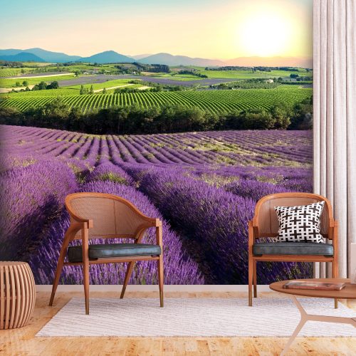 Fotótapéta - Lavender Field 250x175