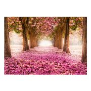 Fotótapéta - Pink grove