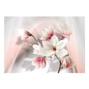 Fotótapéta - White magnolias
