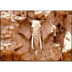 Fotótapéta - Stone Elephant (South Africa) 250x175