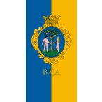 Baja térkép, Baja várostérkép