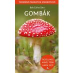 Gombák könyv - Természetbarátok zsebkönyve