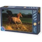   D-Toys - Vágtató ló puzzle  - 1000 db  68x47 cm  ( 65988-PH04 )