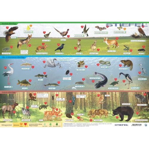Magyarország vadon élő állatai asztali alátét A3 kétoldalas / Magyarország állatvilága 