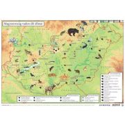 Magyarország vadon élő állatai asztali alátét A3 kétoldalas / Magyarország állatvilága 