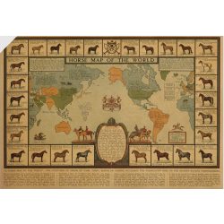    A világ híres lovai falitérkép lefóliázva, Lovas  világtérkép művészeti falitérkép 42x30 cm
